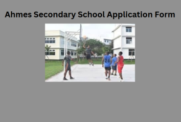 Ahmes Secondary School Application Form