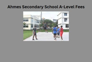 Ahmes Secondary School A-Level Fees