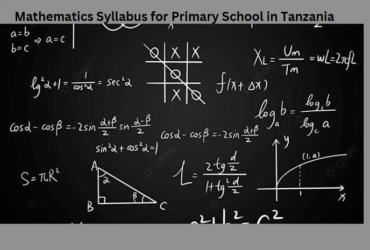 Mathematics Syllabus for Primary School in Tanzania