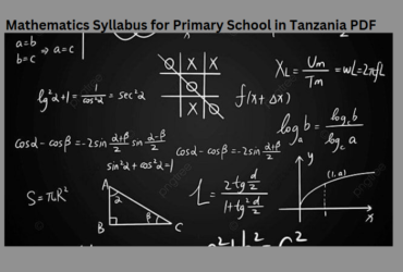 Mathematics Syllabus for Primary School in Tanzania PDF