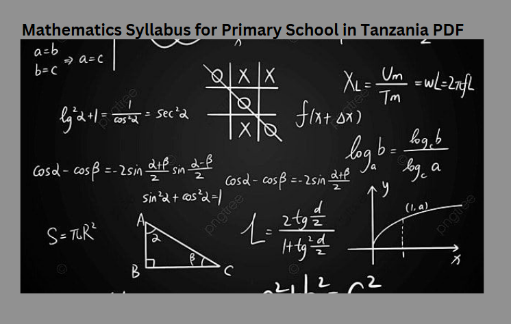 Mathematics Syllabus for Primary School in Tanzania PDF