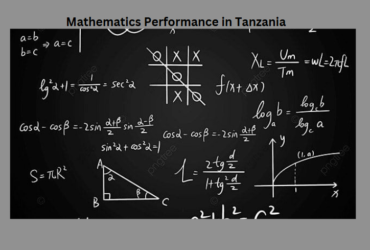 Mathematics Performance in Tanzania