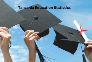 Tanzania Education Statistics