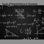 Types of Examinations in Tanzania