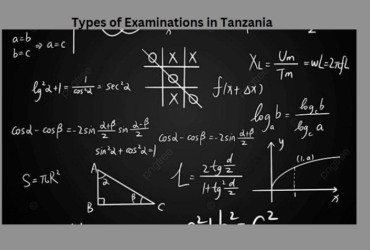 Types of Examinations in Tanzania