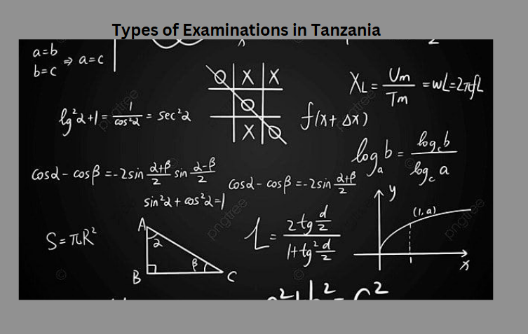 Types of Examinations in Tanzania