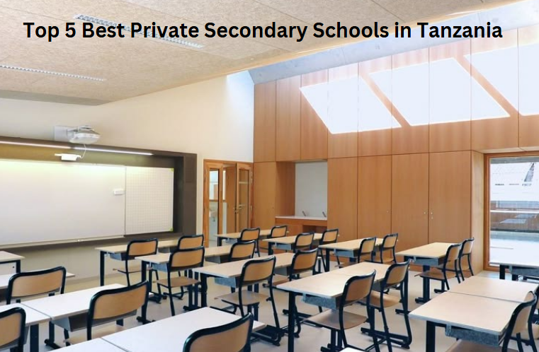 Top 5 Best Private Secondary Schools in Tanzania