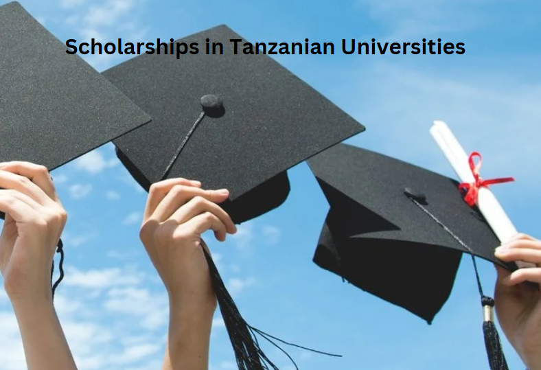 Scholarships in Tanzanian Universities