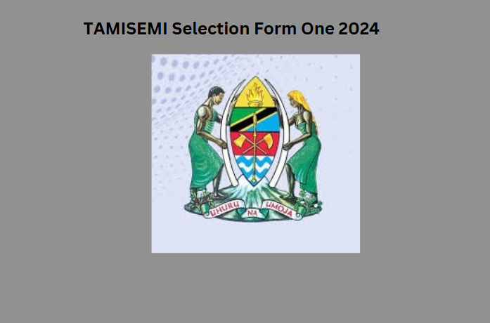 TAMISEMI Selection Form One 2024