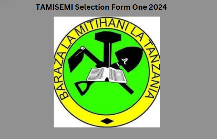 Form One Selection 2024/2025