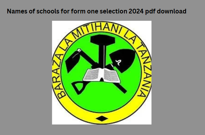 Names of schools for form one selection 2024 pdf download