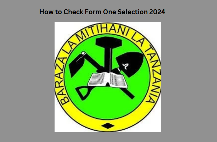 How to Check Form One Selection 2024