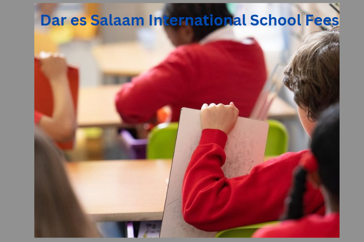 Dar es Salaam International School Fees