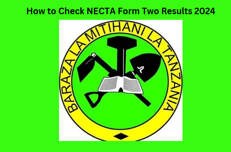 How to Check NECTA Form Two Results 2024