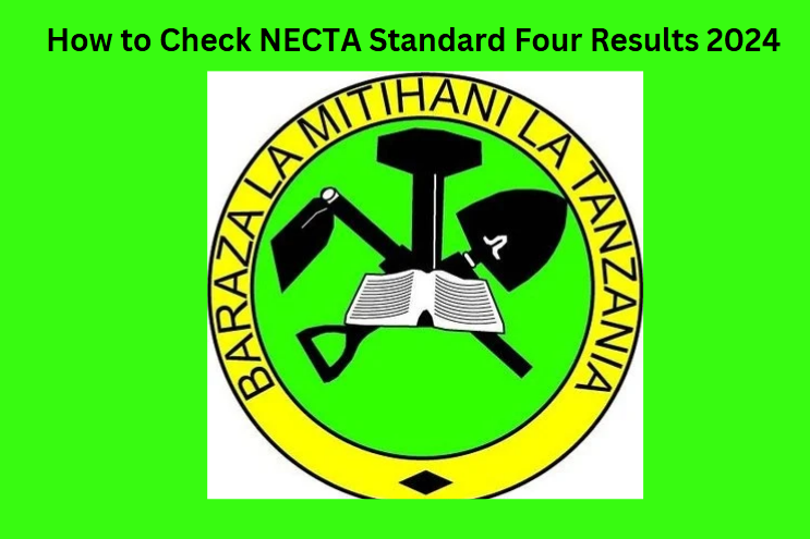 How to Check NECTA Standard Four Results 2024