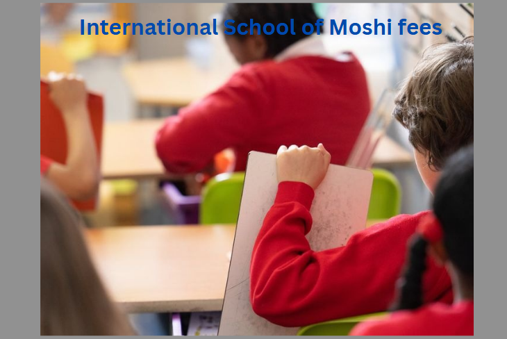 International School of Moshi fees