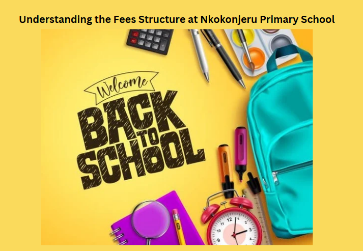 Understanding the Fees Structure at Nkokonjeru Primary School