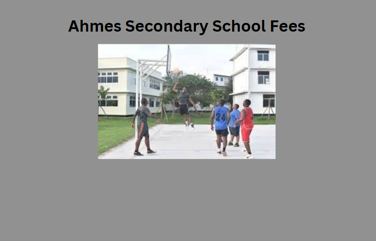 Ahmes Secondary School Fees