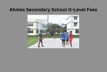 Ahmes Secondary School O-Level Fees