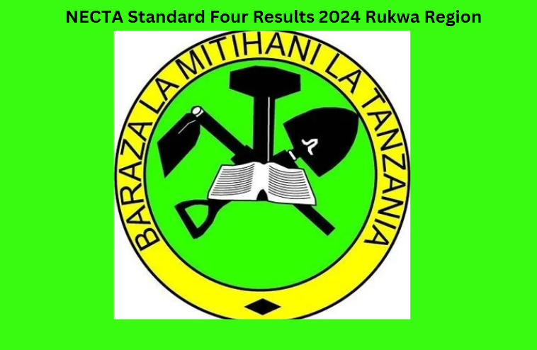 NECTA Standard Four Results 2024 Rukwa Region