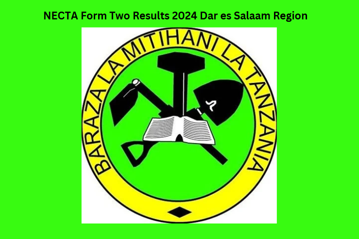 NECTA Form Two Results 2024 Dar es Salaam Region