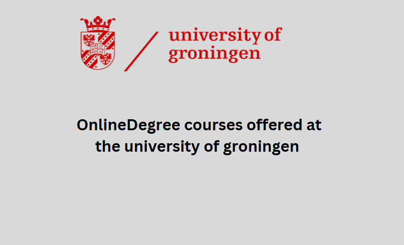 Degree courses offered at the university of groningen online