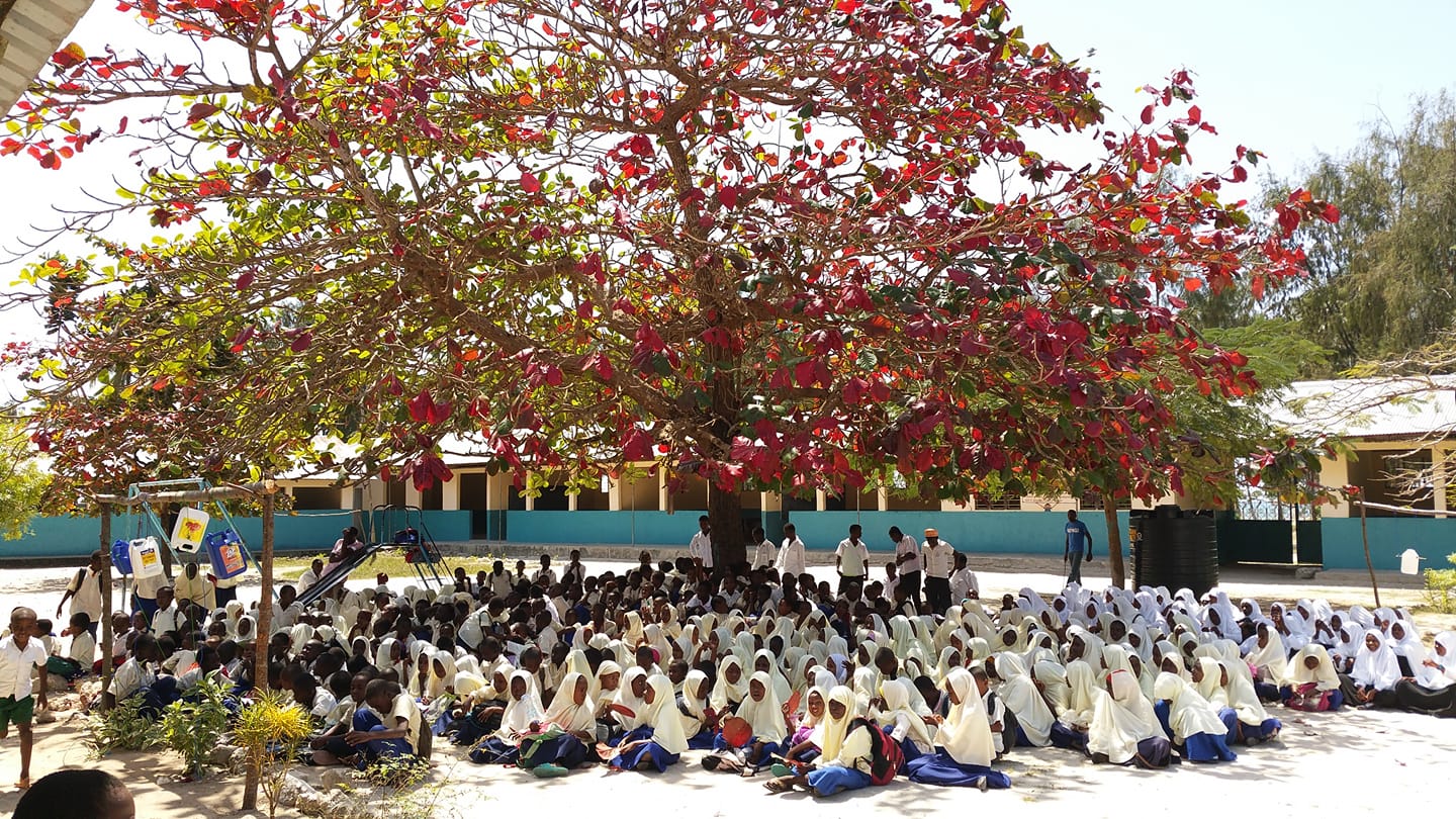 Form One Selection 2025 in Zanzibar