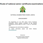 Leaving certificate of national senior certificate examinations 2024