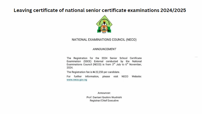 Leaving certificate of national senior certificate examinations 2024