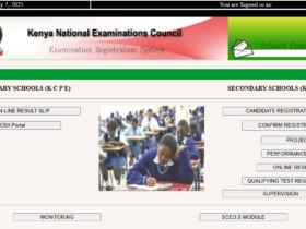 KCSE Results Slip Online