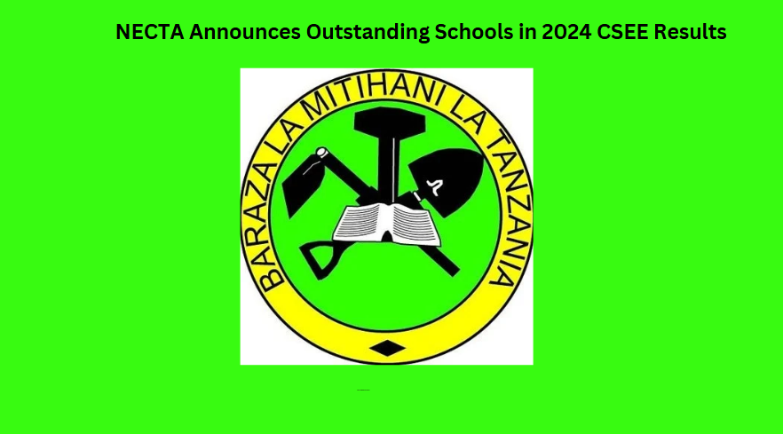 NECTA Announces Outstanding Schools in 2024 CSEE Results