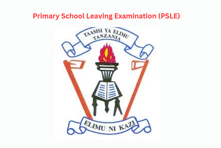 Primary School Leaving Examination