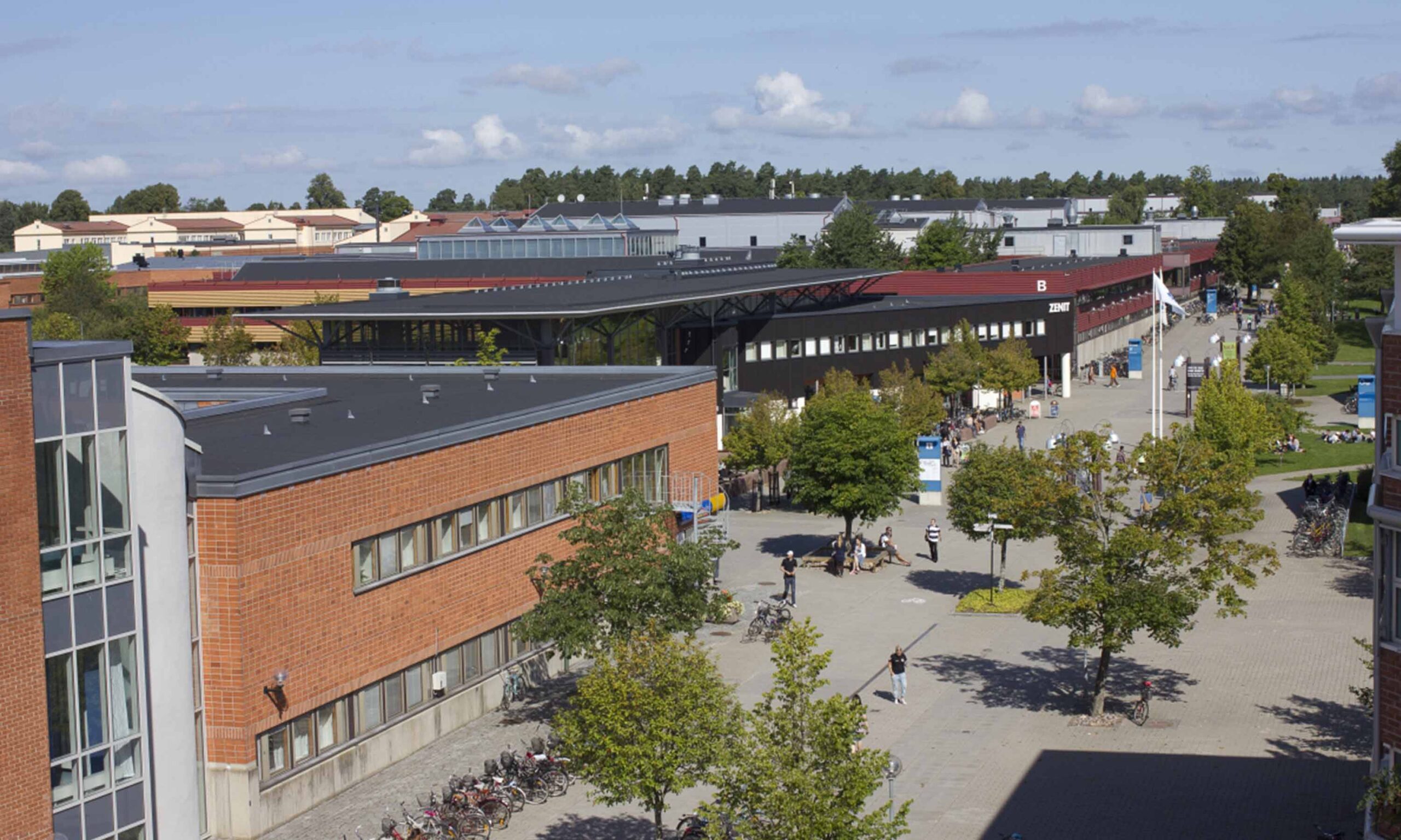 Linköping University Invites Scholars to Apply for Summer Academy 2025