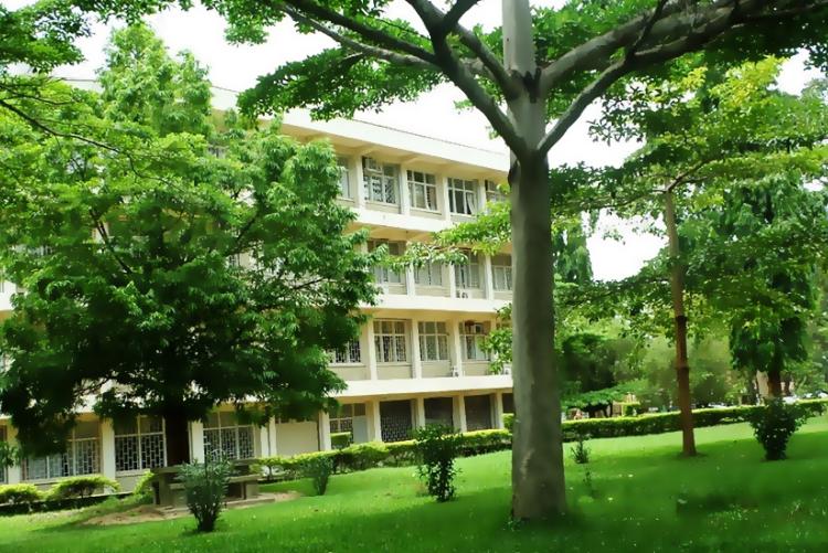 Sokoine University Allocates Positions for Cashew Development Program Officers